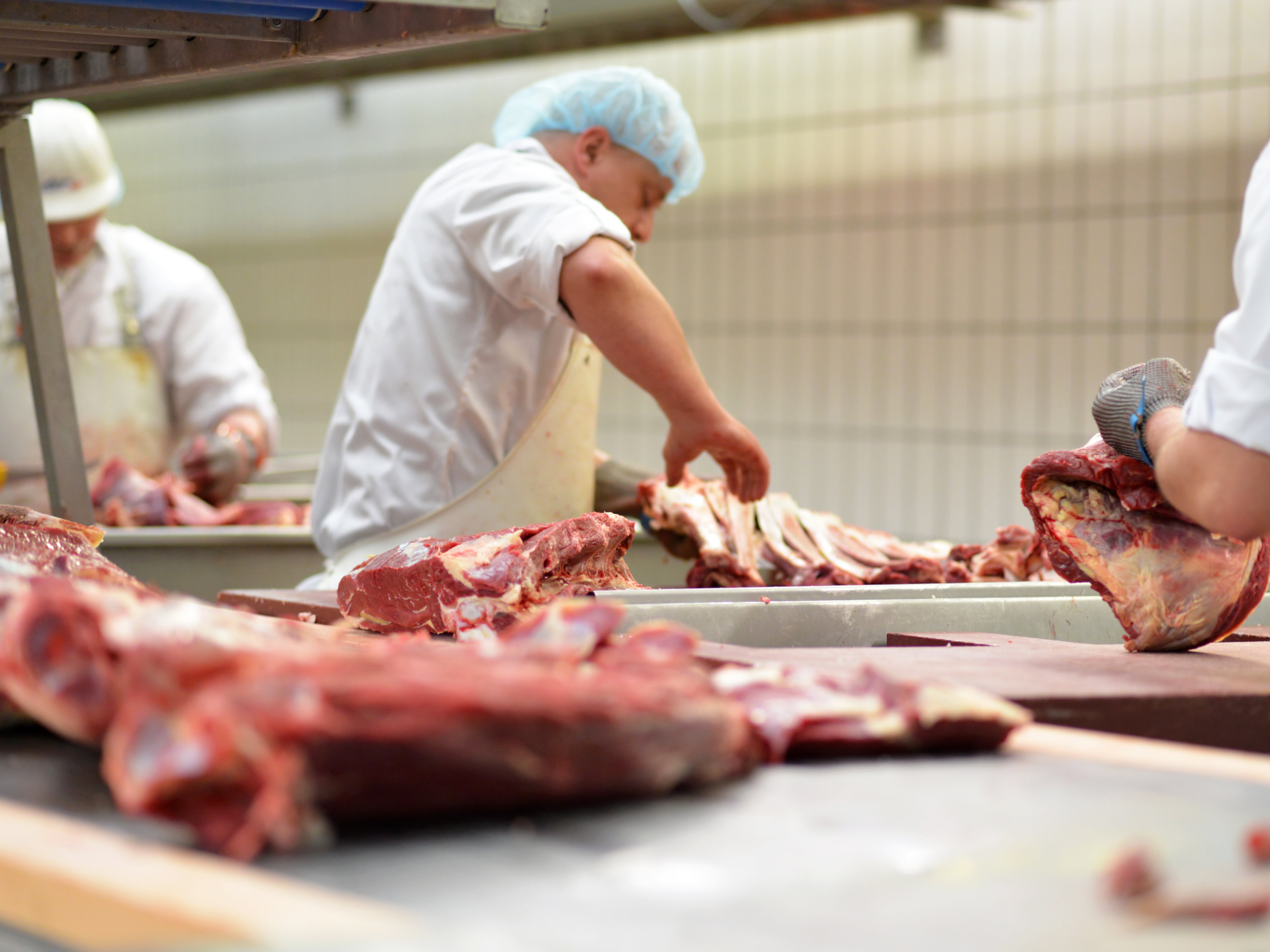 <p>A meat industry chief has warned food production lines are ‘failing’ because of staff being forced to self-isolate </p>