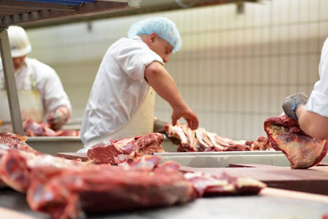 <p>A meat industry chief has warned food production lines are ‘failing’ because of staff being forced to self-isolate </p>