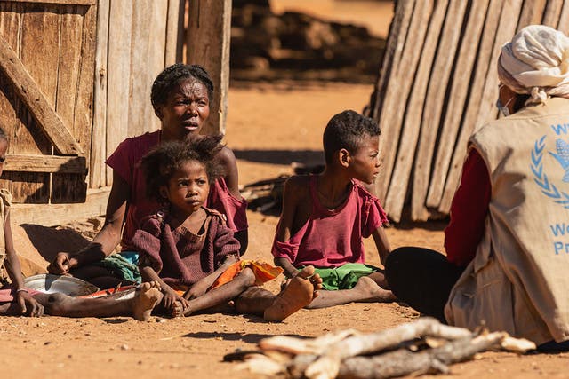 <p>Drought and poverty have led to severe hunger in southern Madagascar.</p>