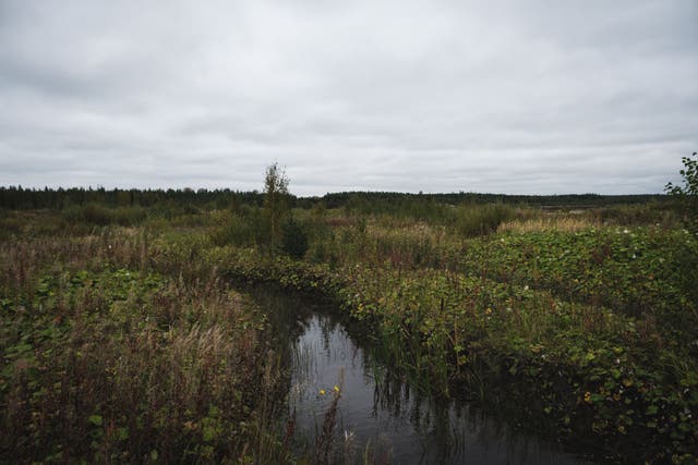 <p>Representational: Photo taken of a barren expanse of bog in southeast Finland </p>