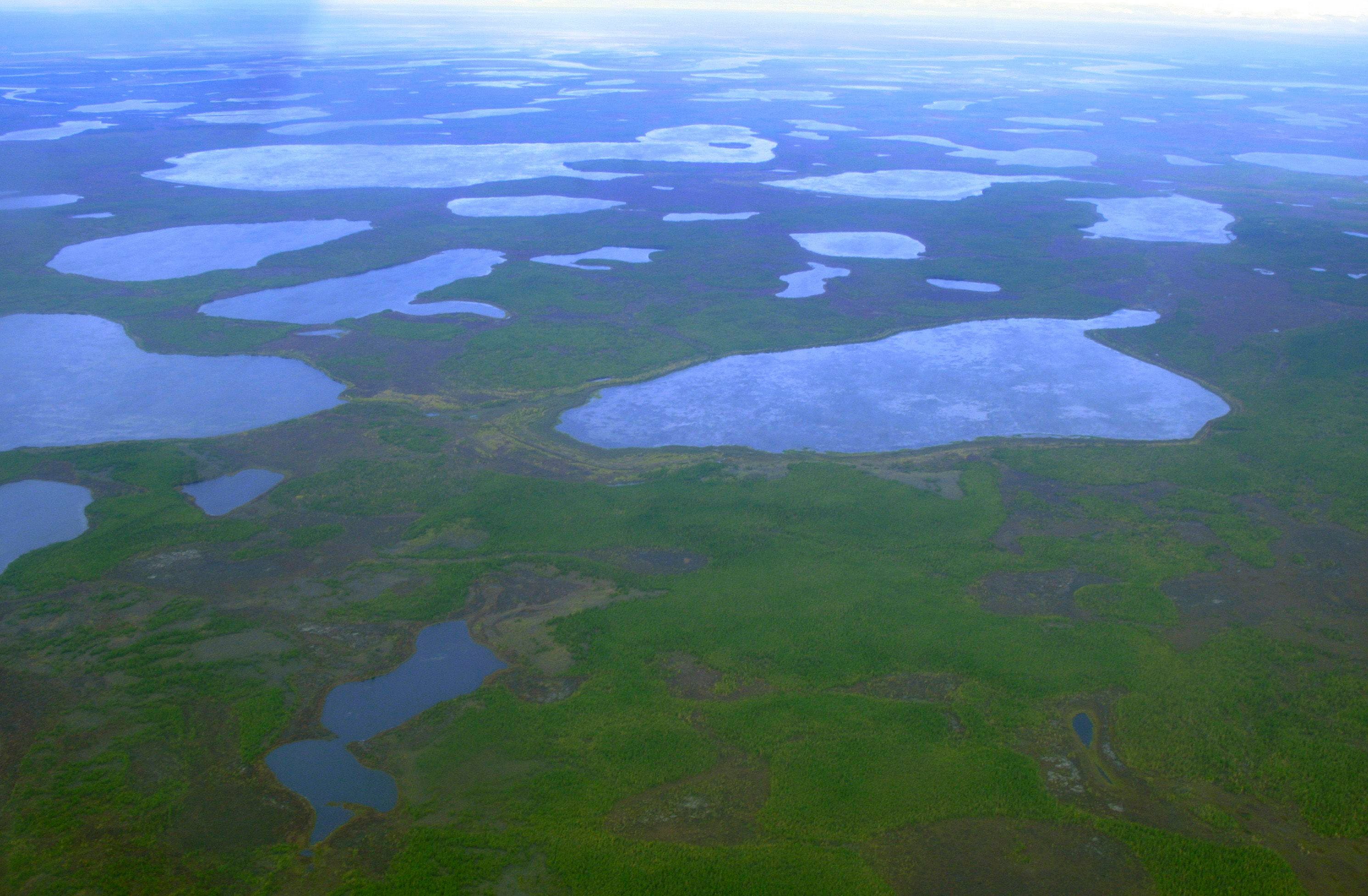 Scientists revived worm that was frozen for 46,000 years in Siberian permafrost - Vimarsana News