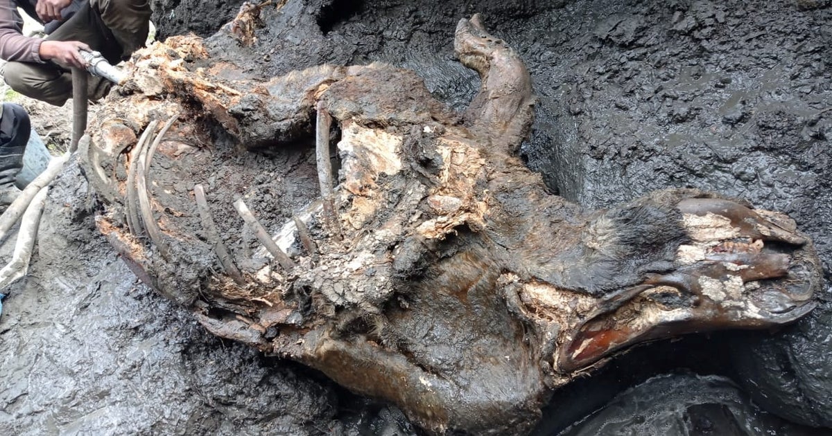Russia's permafrost is thawing and revealing ancient secrets beneath | The Independent