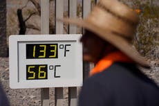 Heatwaves and forest fires: Why extreme temperatures are so deadly