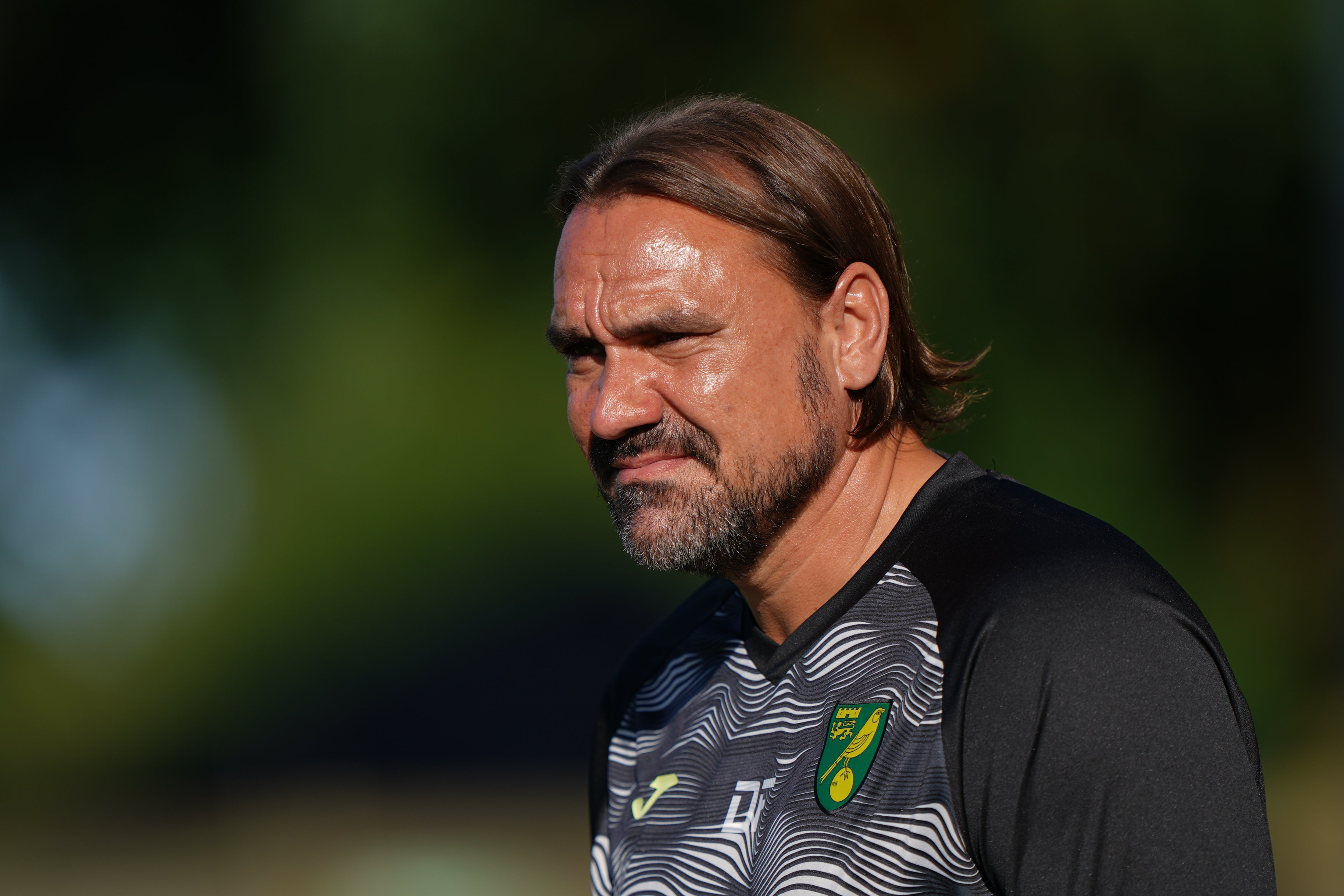 Daniel Farke: I would not accept 17th in Premier League if offered to  Norwich now | The Independent