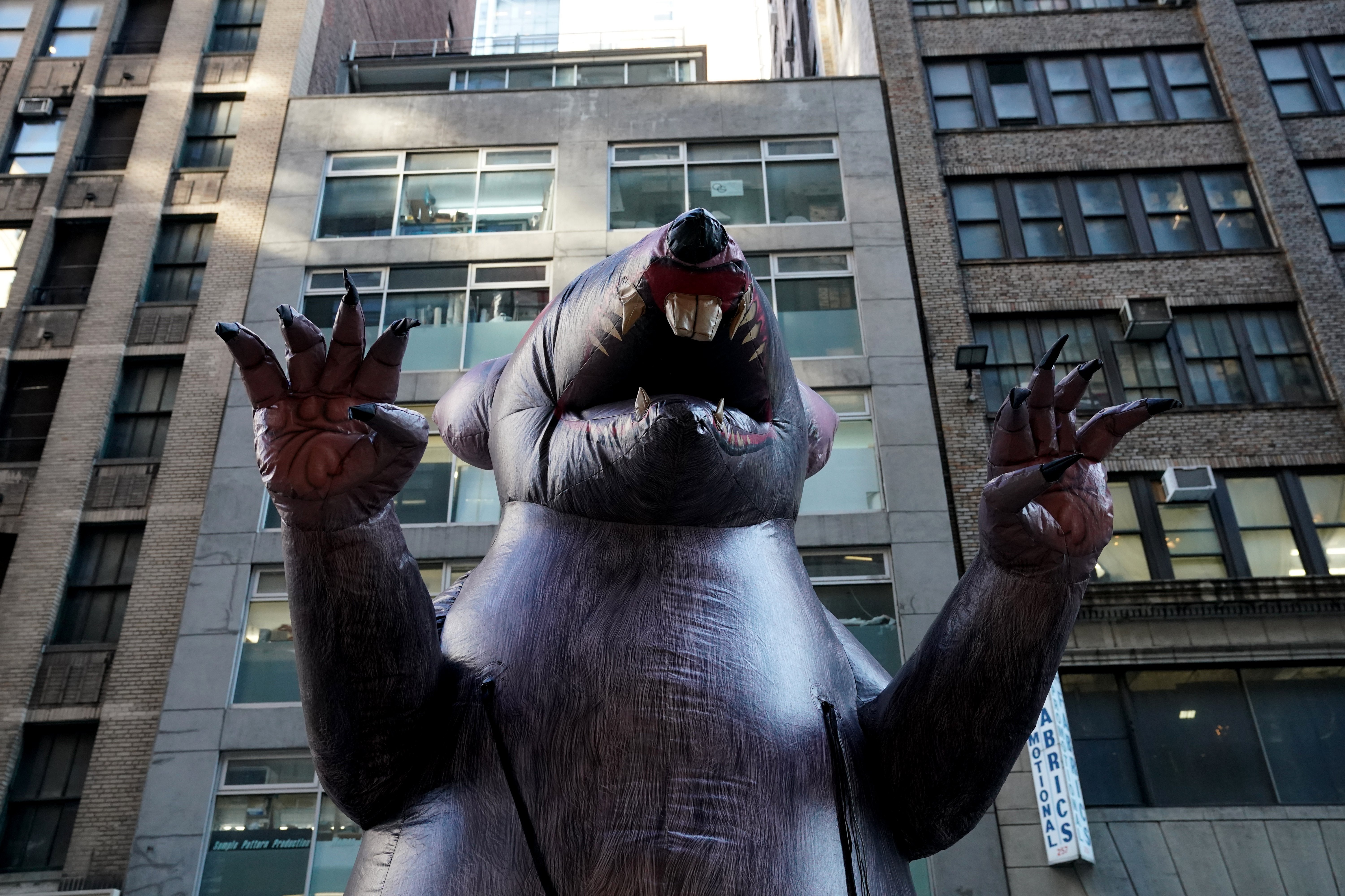 Giant inflatable rats ubiquitous at work sites with labour disputes survived a Trump-era legal challenge at the National Labor Relations Board on 21 July.