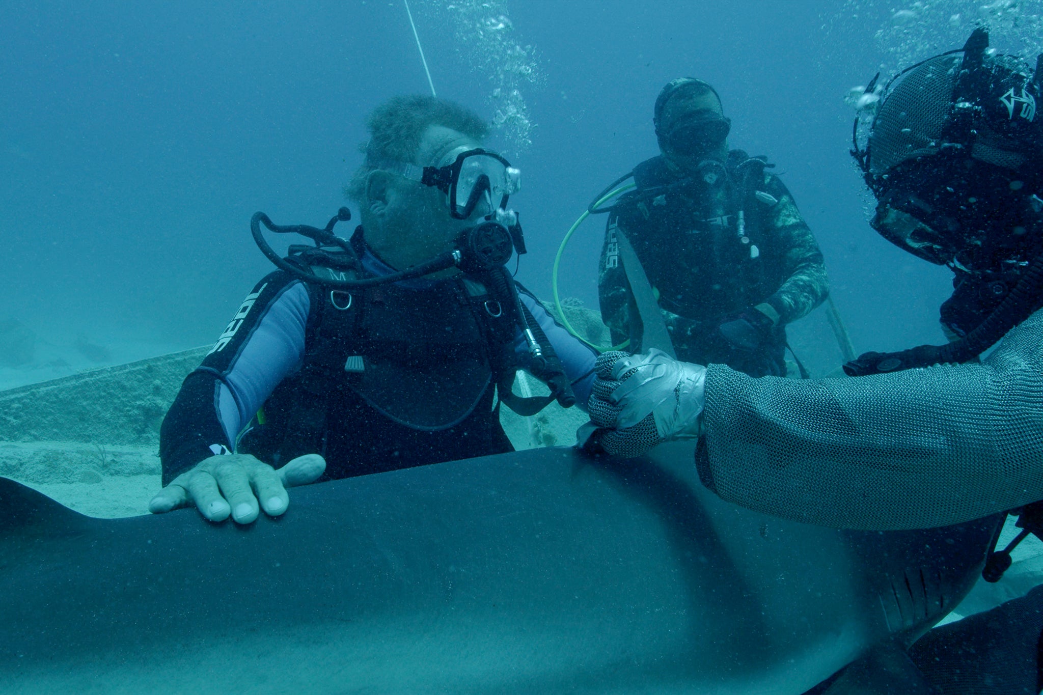 Conquering his fears: Shatner goes diving with <b>sharks</b> in &apos;Expedition U...