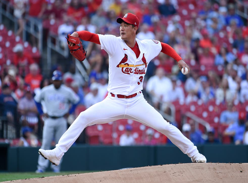 CACHORROS-CARDENALES
