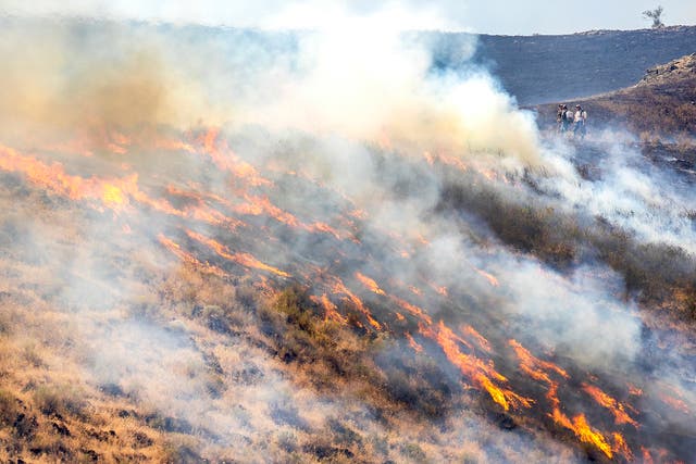 Western Wildfires