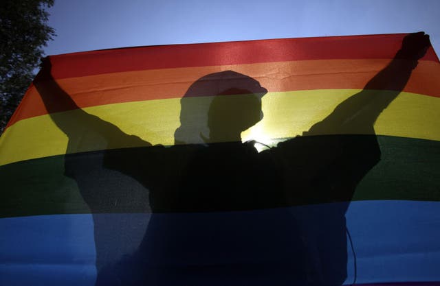 <p>A  participant during a Pride parade in downtown Budapest in 2012</p>