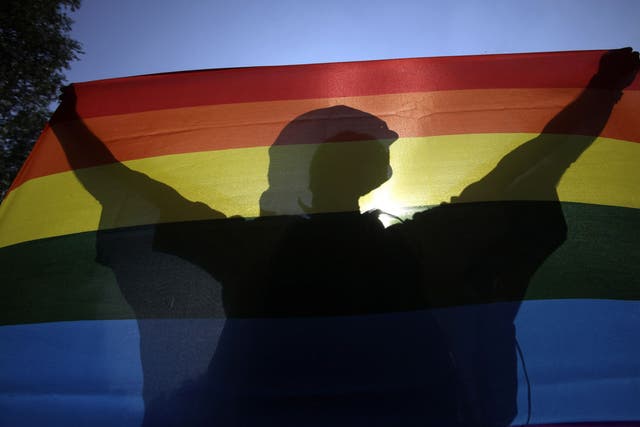 <p>Un participante sosteniendo una bandera del arco iris durante un desfile del orgullo gay en el centro de Budapest en 2012</p>