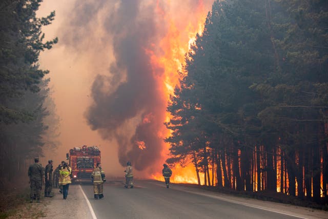 <p>World has seen ‘record-shattering wildfires’ in past two years, analysis says</p>