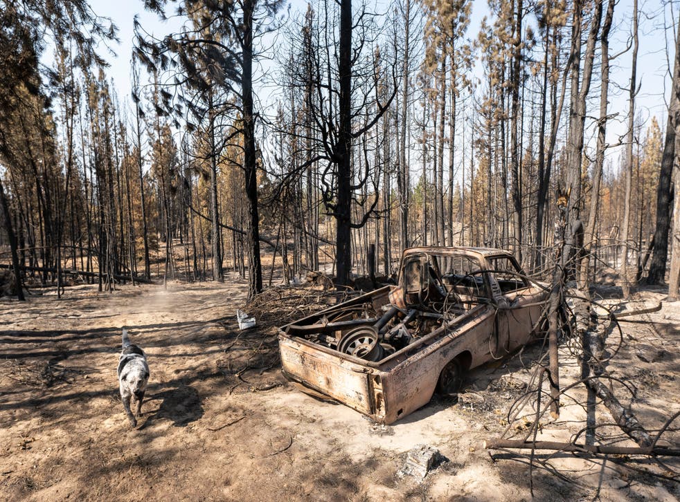 EEUU INCENDIOS