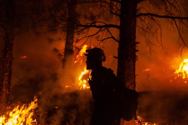 <p>A firefighter during nighttime operations at the Bootleg Fire, in southern Oregon last month</p>