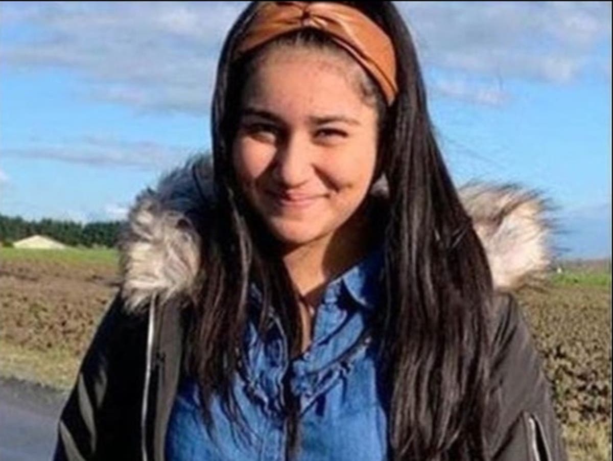 Police &lsquo;increasingly concerned&rsquo; for 12-year-old missing for days