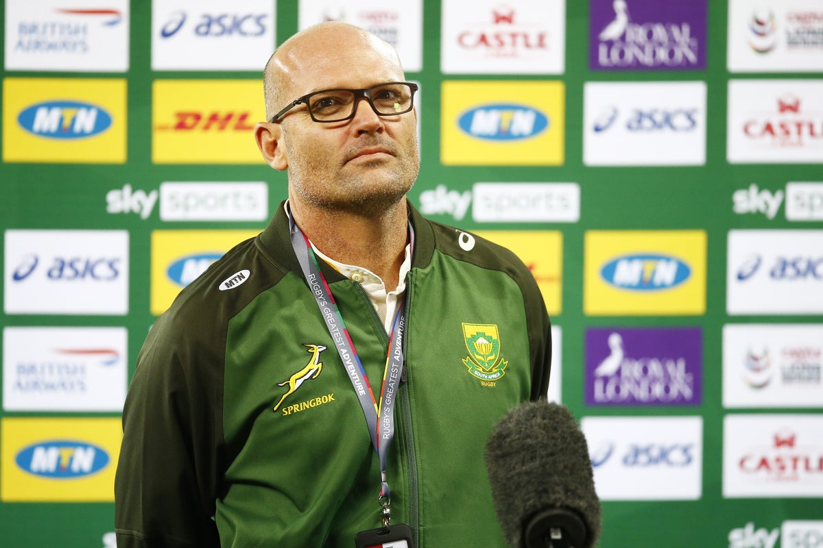 Jano Roux Officials were right to rule out Le Roux’s try against Lions: Jacques ...