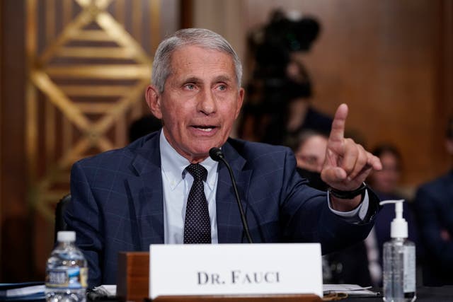 <p>Dr Anthony Fauci speaks at a congressional hearing.</p>