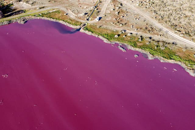 <p>Aerial view of a lagoon that turned pink due to a chemical used to help shrimp conservation in fishing factories near Trelew, in the Patagonian province of Chubut, Argentina, on 23 July 2021</p>