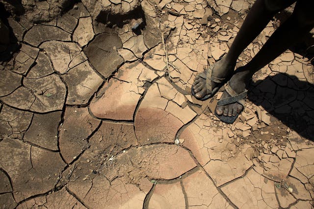<p>A boy from a remote tribe stands on a dried-up river bed in Kenya made worse by climate change</p>