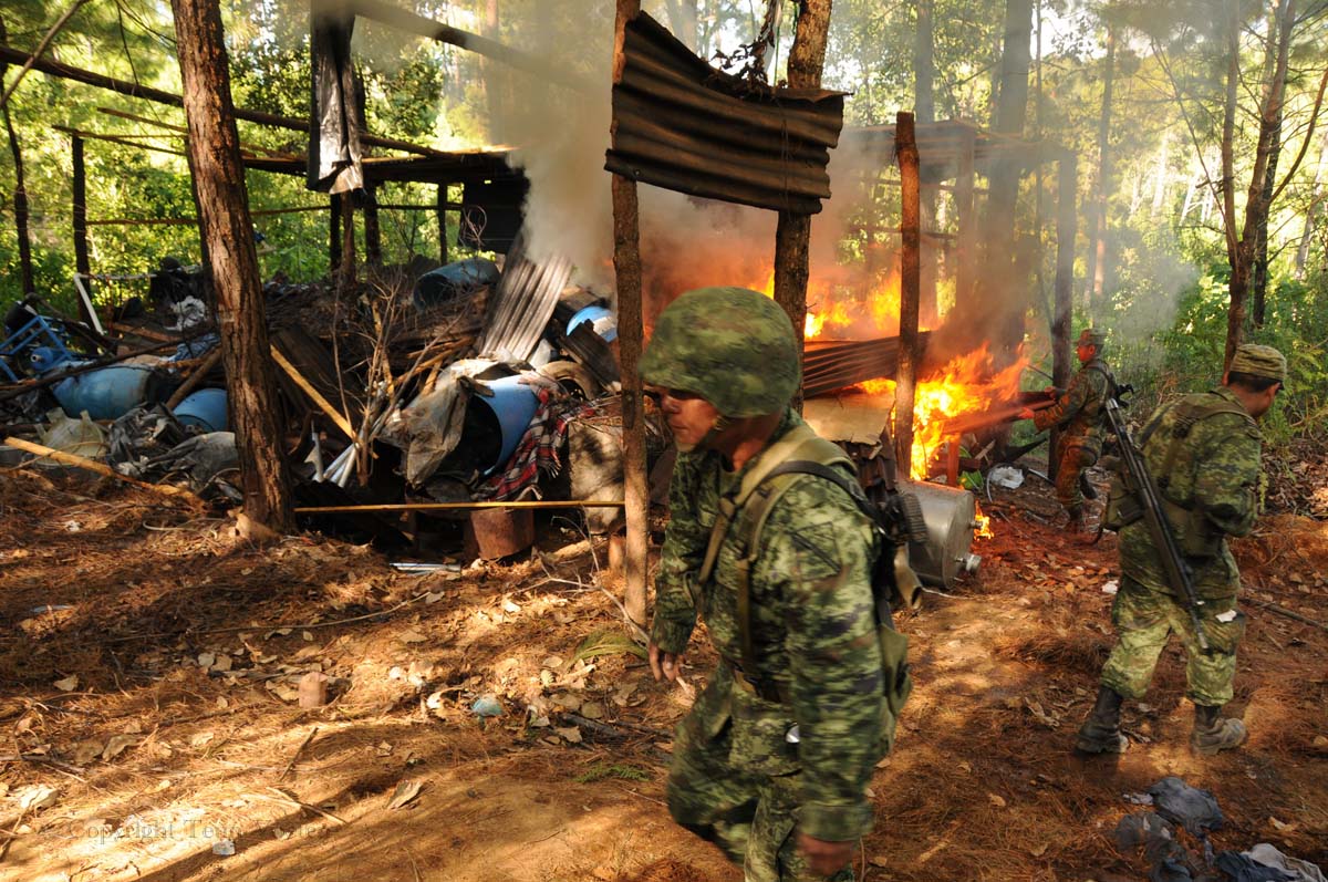 The army destroys a meth lab hidden deep in the jungle