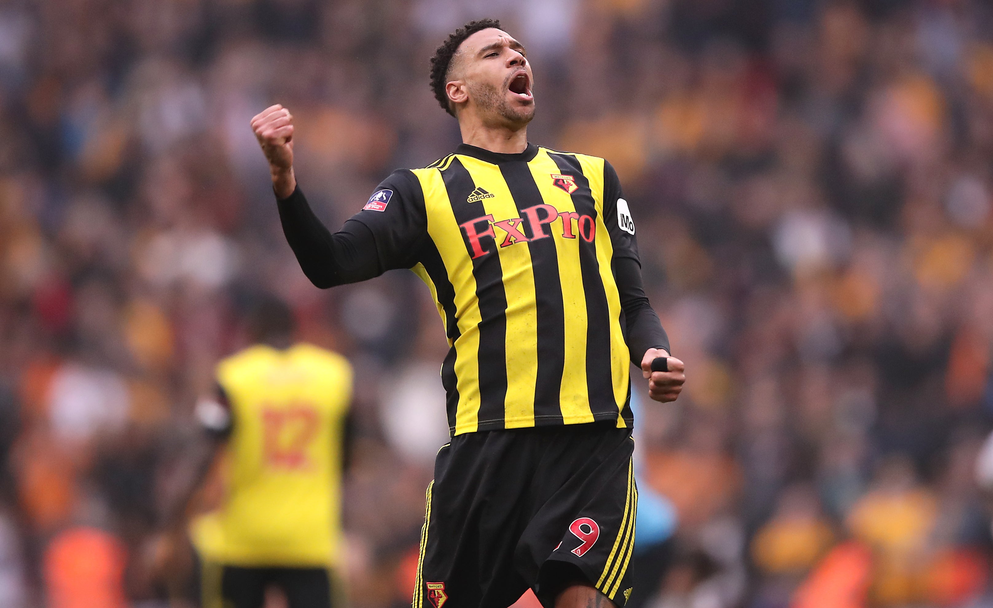 Capoue went on to become a key player for Watford (John Walton/PA)