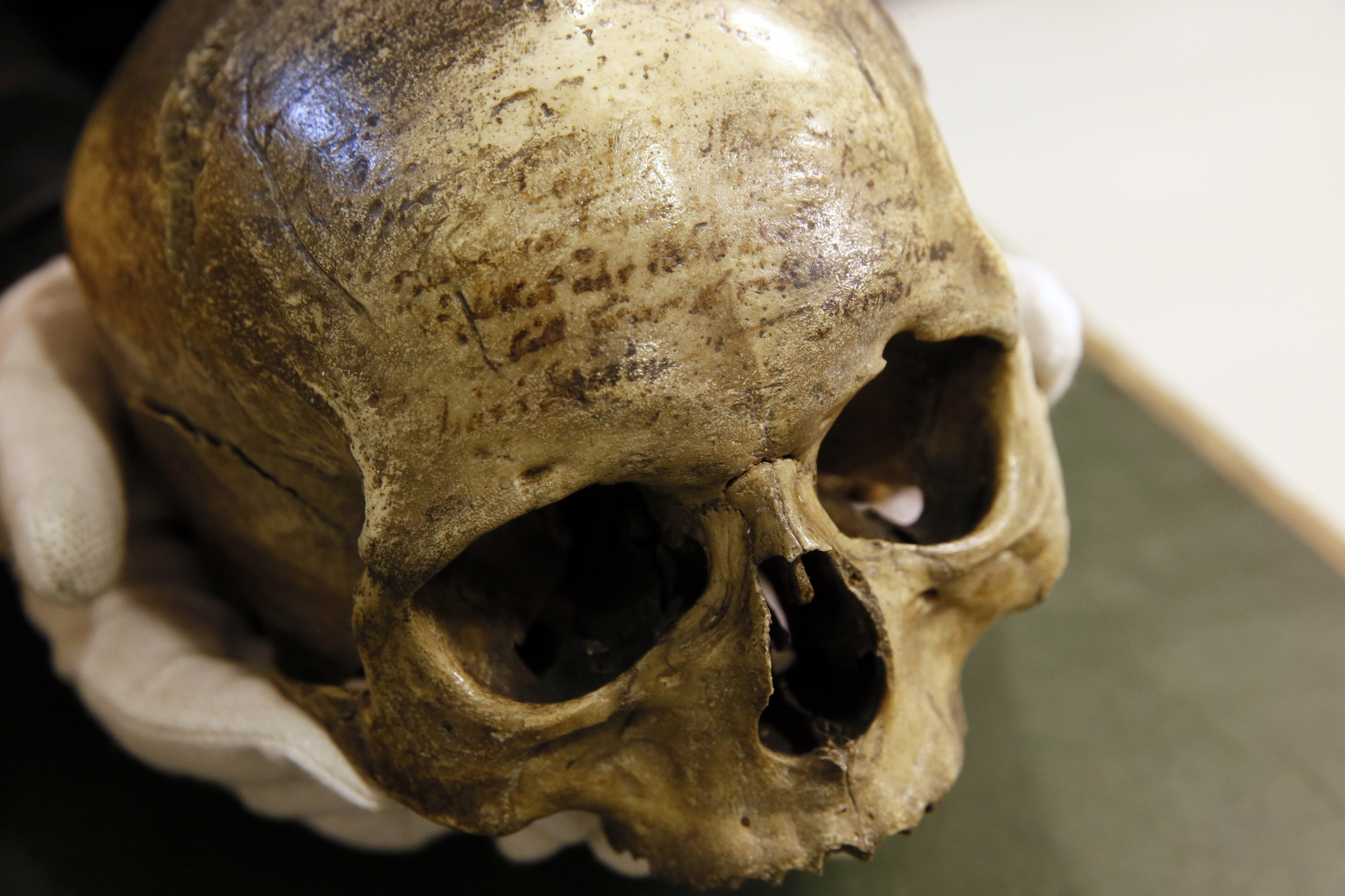 Descartes’ skull on display at the Musee de l'Homme in Paris