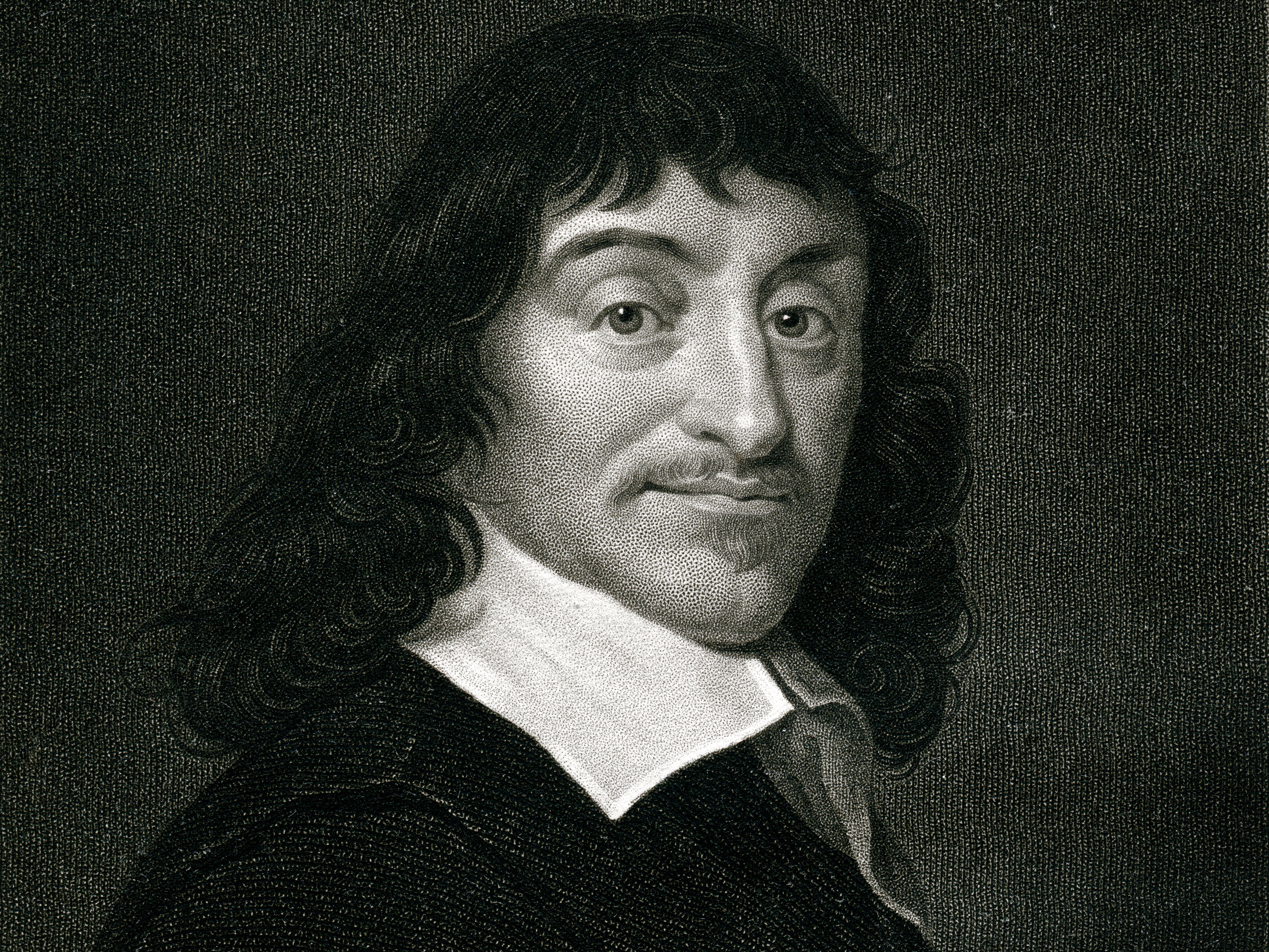 Descartes used methods learned from maths in his philosophical works