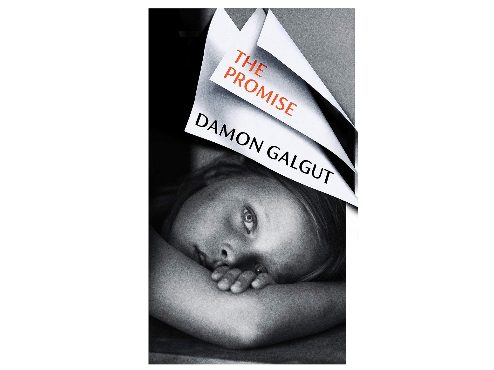 the-promise-damon-galgut-indybest-booker-prize-2021-longlist.jpg