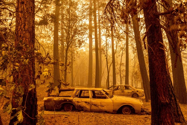Incendios forestales de California