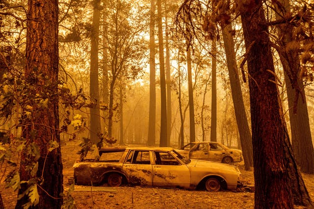 <p>Following the Dixie Fire, scorched cars are seen in a clearing in the Indian Falls community of Plumas County, Calif., on Sunday 25 July 25 2021.</p>