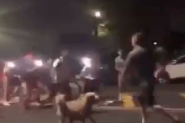 <p>A group of teenagers confronts an off-duty New York firefighter who is out walking his dog in Queens. The teens allegedly attacked the firefighter before being scared off by an ambulance. </p>