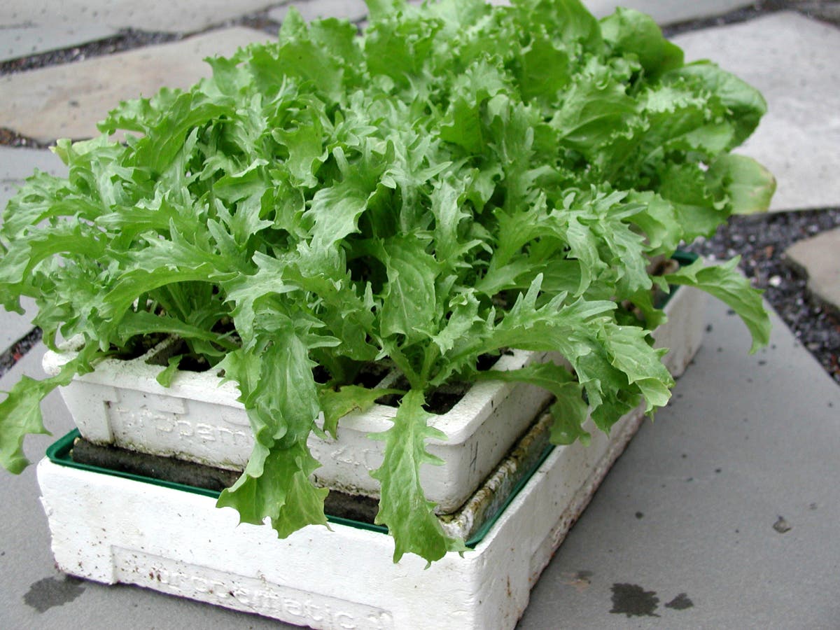 Start now to get another growing season out of your garden