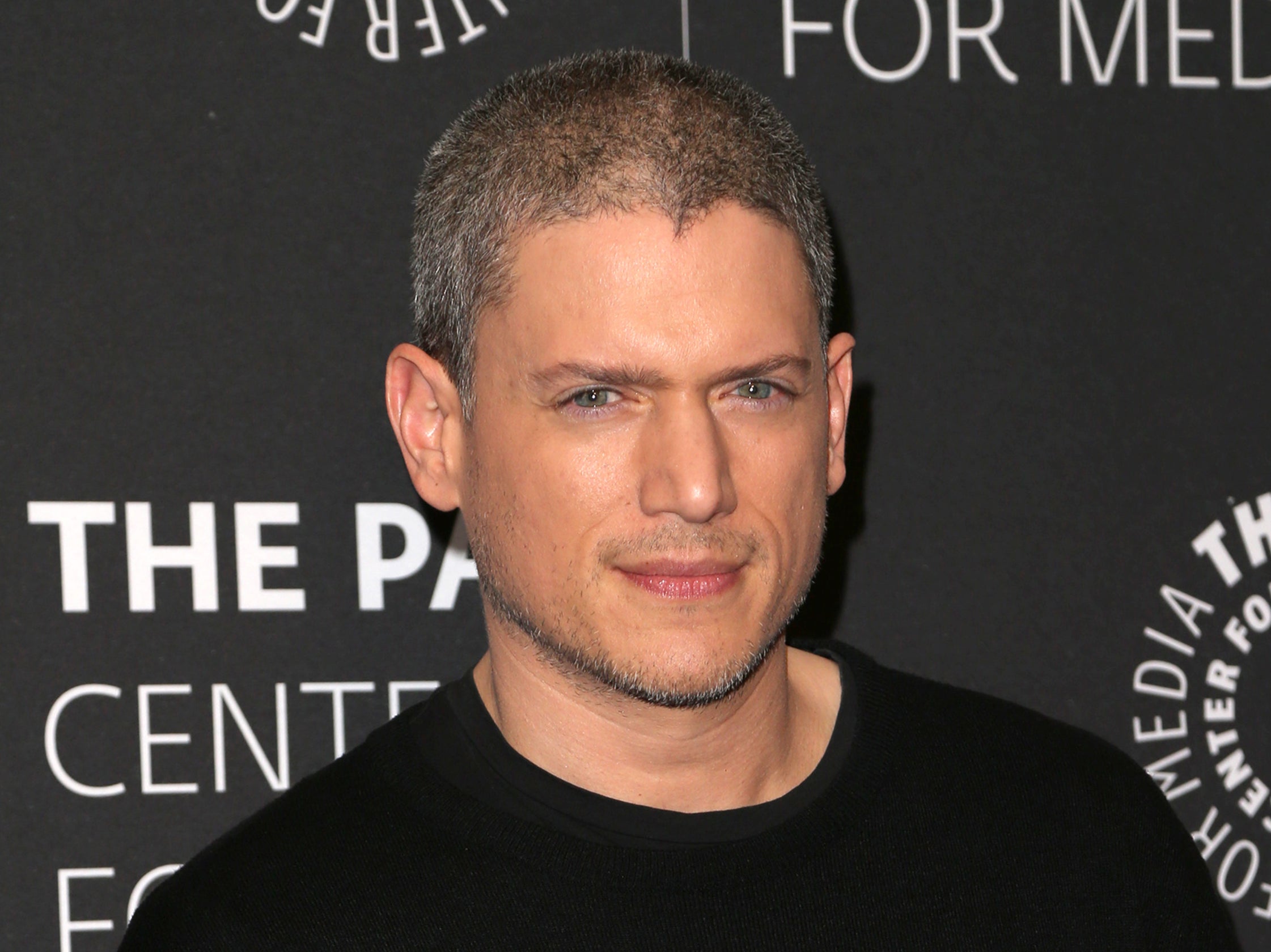 <p>Wentworth Miller</p>