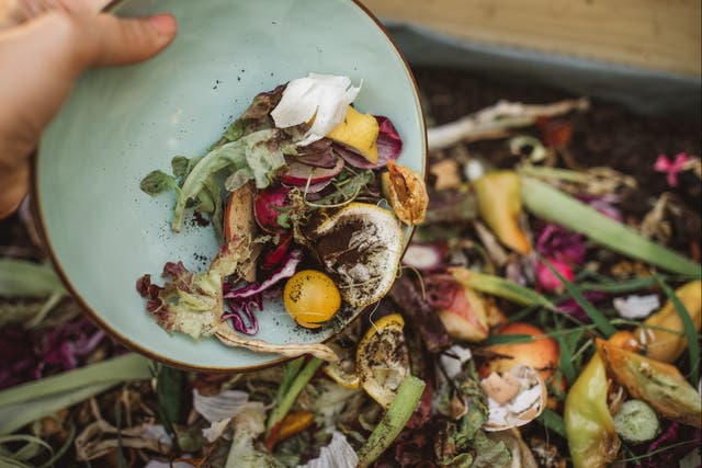 <p>Food waste being turned to compost</p>