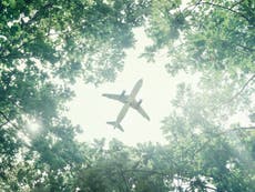 Is there a sustainable way to fly? 