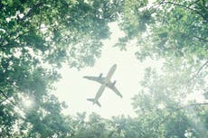 Is there a sustainable way to fly?