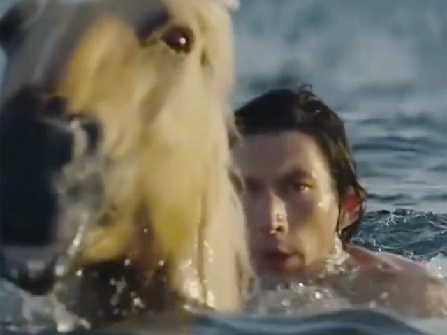 <p>Adam Driver and his horse in a new Burberry ad</p>