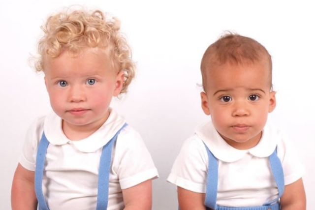 <p>The twins, called Klay and Cole, are 15 months old</p>