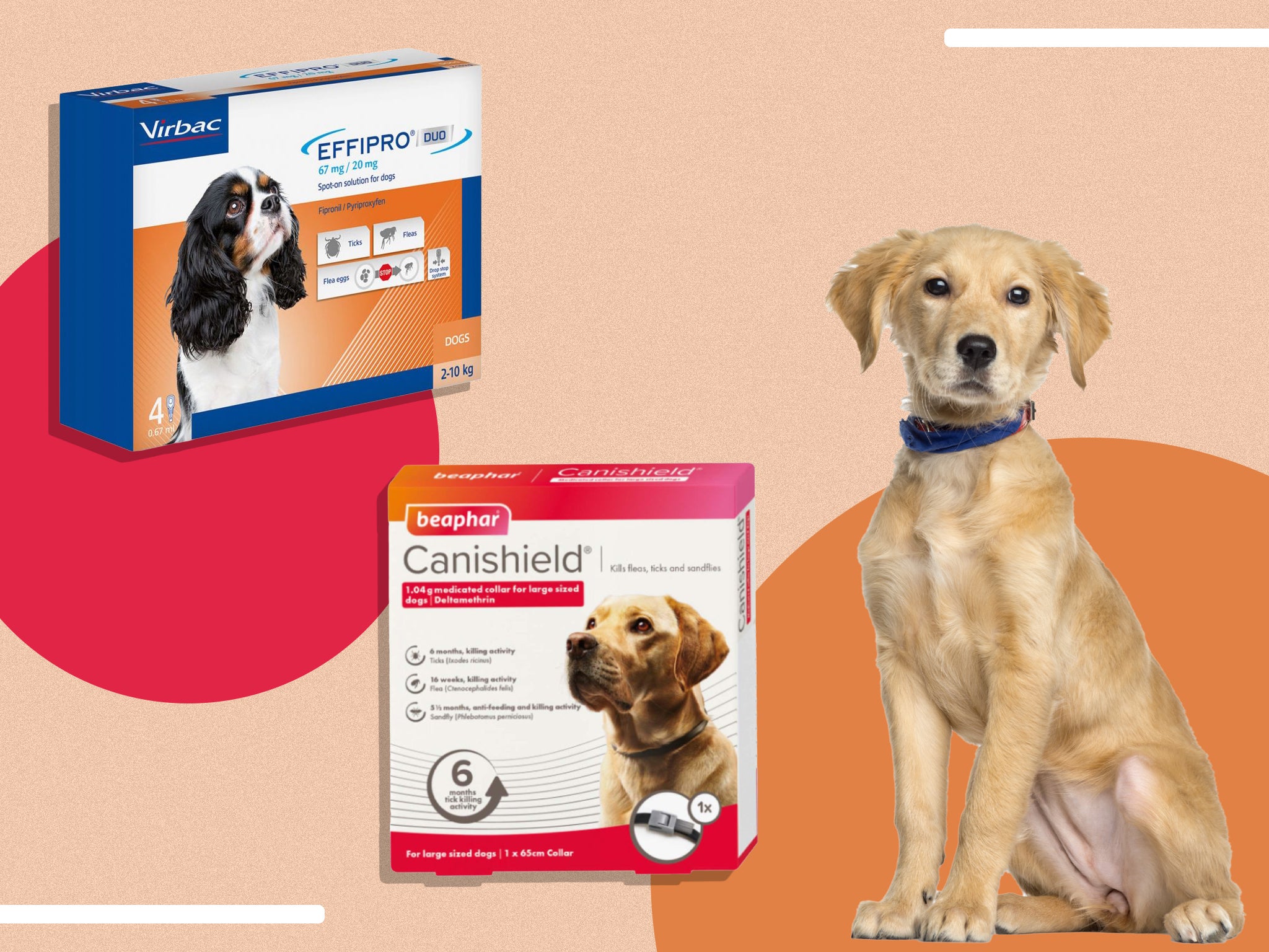 Vet-recommended flea treatments for your dog, from topical solutions to collars