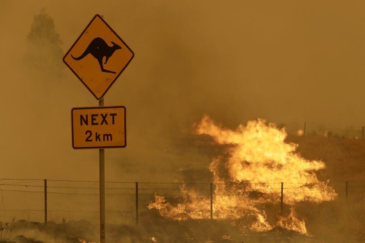 Australia wildfires had greater climate impact than worldwide Covid lockdowns, study says