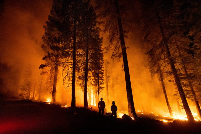 <p>Cal Fire Capts. Derek Leong, right, and Tristan Gale monitor a firing operation, where crews set a ground fire to stop a wildfire from spreading, while battling the Dixie Fire in Lassen National Forest, California on 26 July 2021</p>