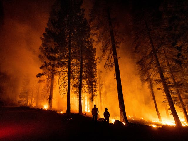 <p>The wildfire, known as the Dixie Fire, in northern California that burned the small town of Greenville to ashes</p>