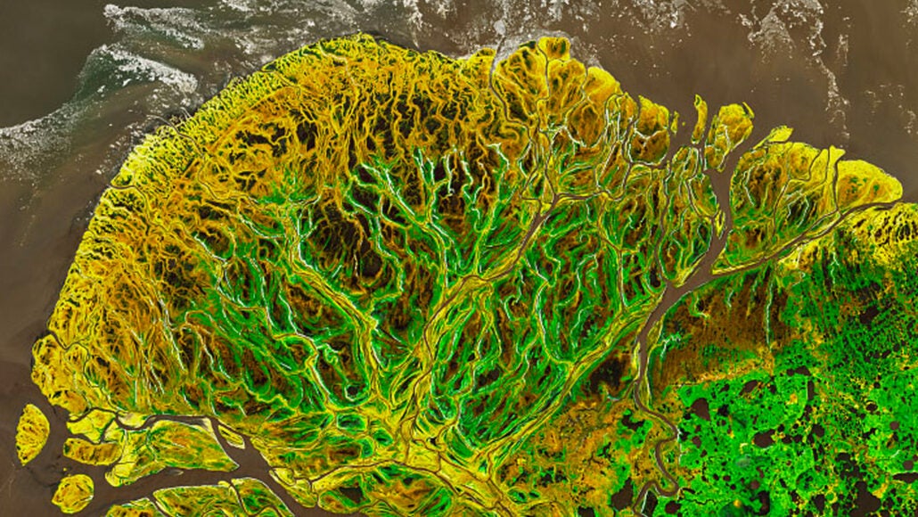 <p>Satellite imagery from the US Geological Survey in May shows Alaska’s Yukon Delta turned almost completely green - a bad sign for the climate crisis</p>