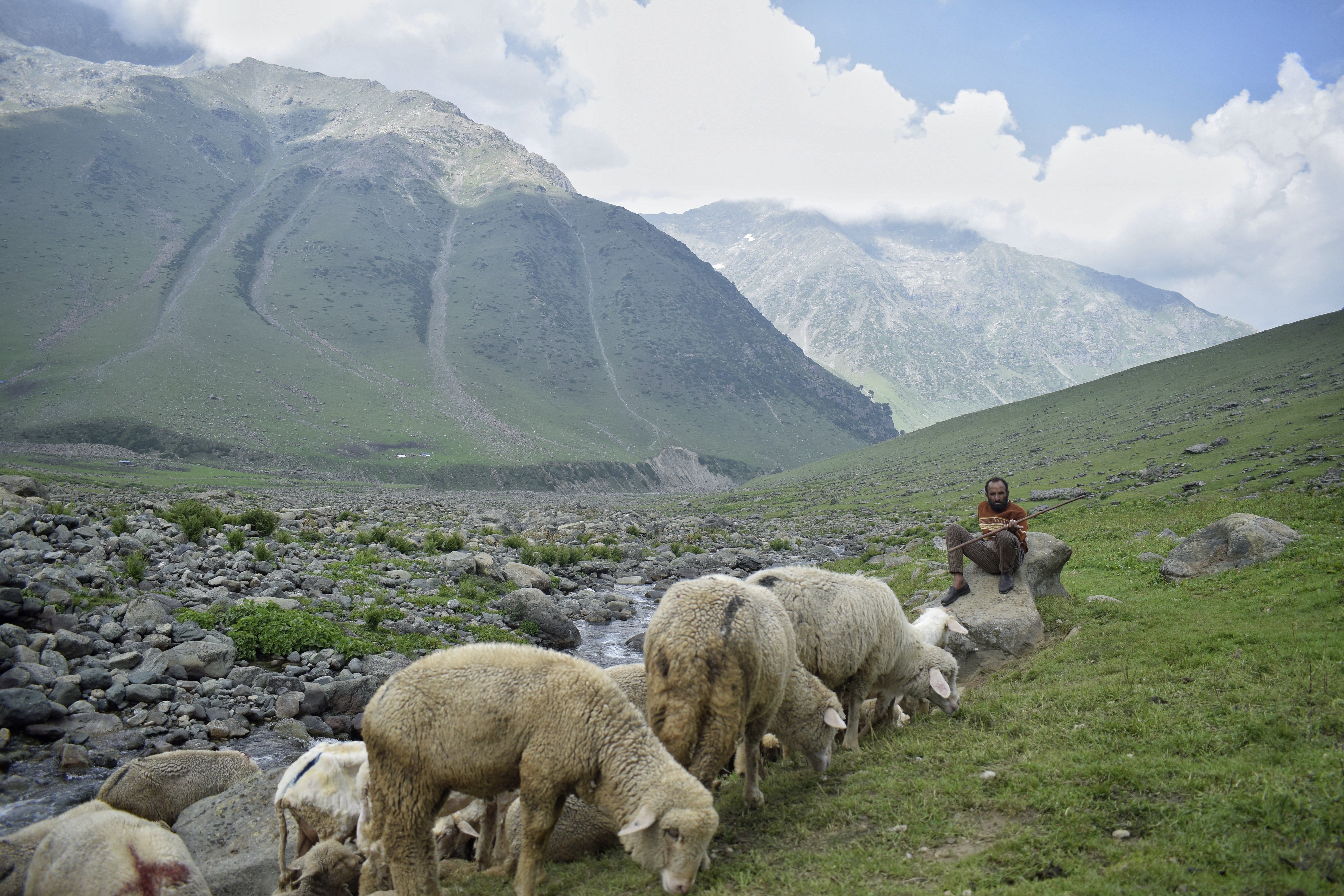 A shepherd from the Gujjar community resting on a rock while his herd of sheep graze on the summer pastures of Kashmir