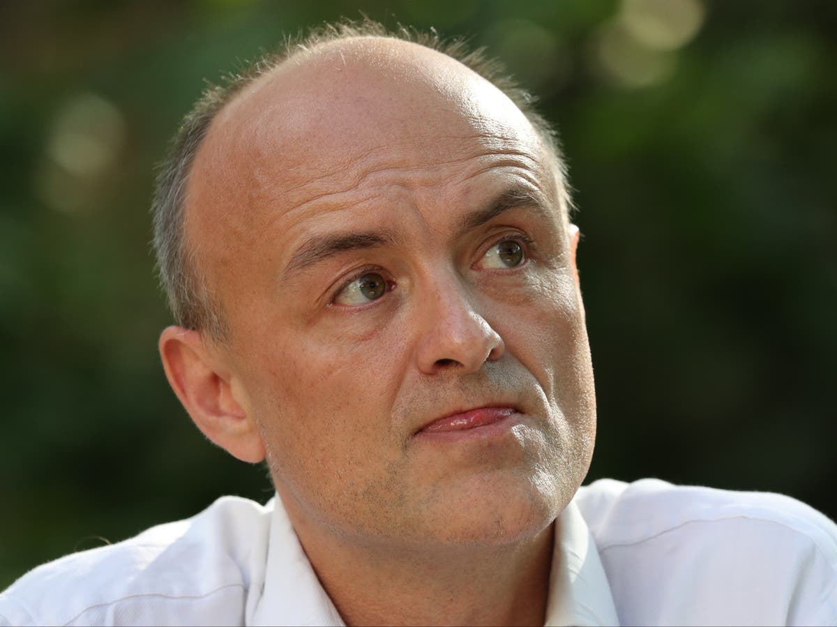 Boris Johnson wants &lsquo;dead cat&rsquo; plan B measures to distract from Christmas party, suggests Cummings