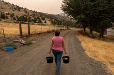 'Trying to survive': Wells dry up amid Oregon water woes