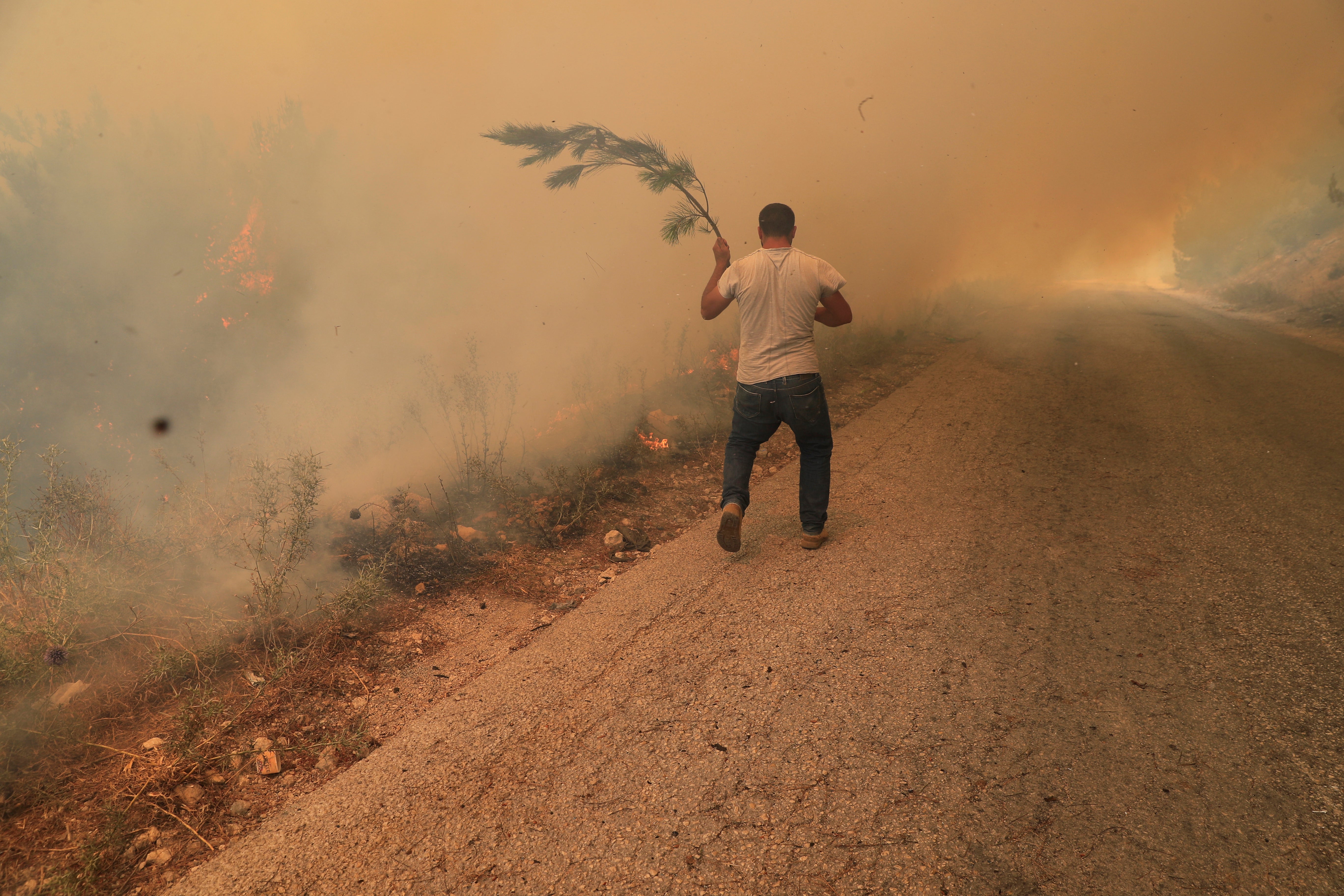 Lebanon Wildfire