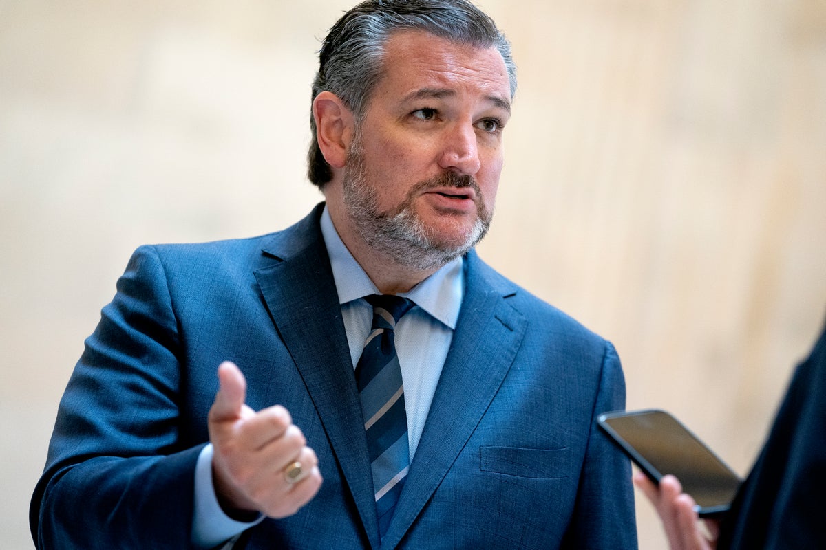 Ted Cruz gets ripped apart by voting expert as he tries to trick her ...