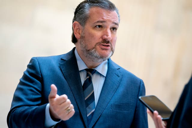 <p>Senator Ted Cruz posed a confrontational series of questions to a panel of voting rights experts </p>