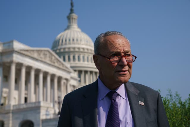 <p>Senate Majority Leader Chuck Schumer in front of the Capitol.</p>