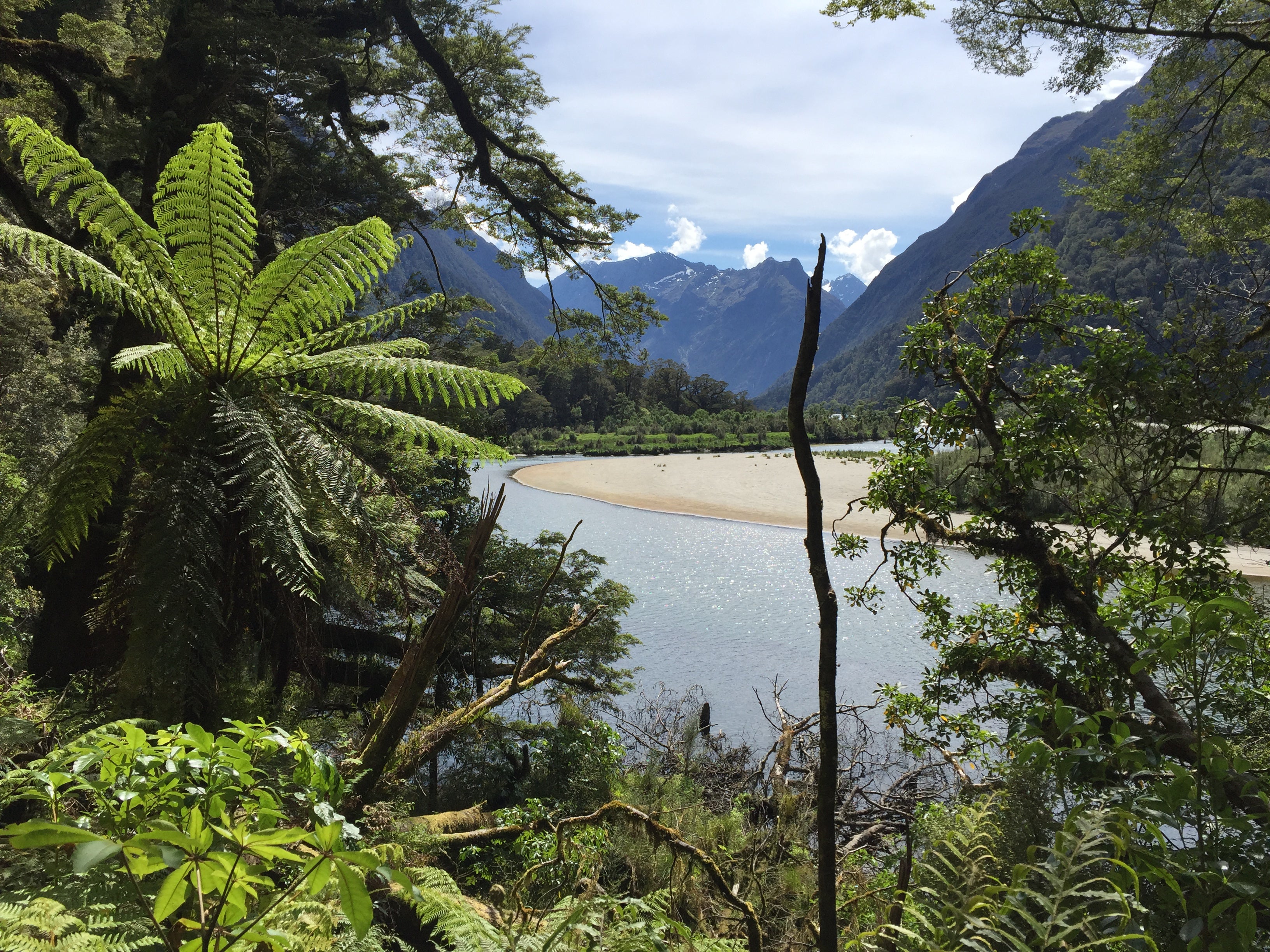 El prístino Milford Sound en el sur de Nueva Zelanda es uno de los principales destinos turísticos del país.